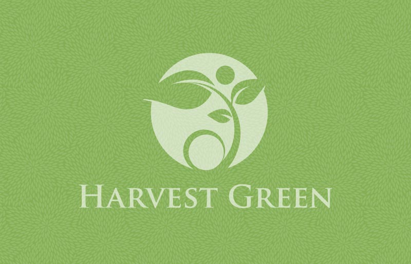 Harvest Green - D.R. Horton Floor Plan 2251 Hartley